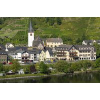 Moselhotel & Restaurant Traube