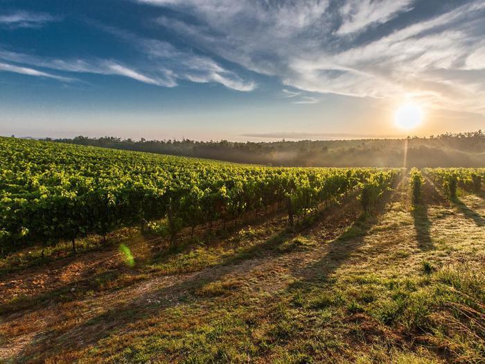 6-dags ferie for 2 i smukke Toscana 